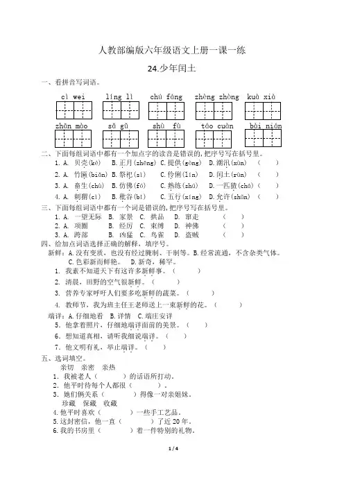人教部编版六年级语文上册一课一练24.少年闰土(含答案)