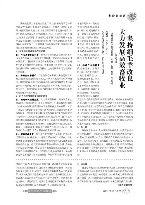 坚持细毛羊改良大力发展高效畜牧业