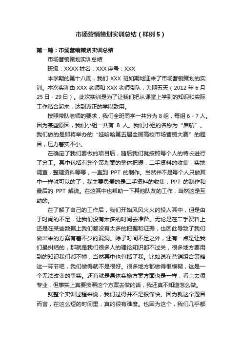 市场营销策划实训总结（样例5）