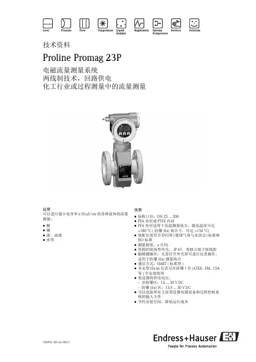 E+H流量仪表选型手册
