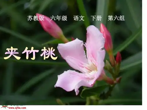 《夹竹桃》PPT课件