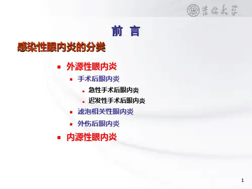 感染性眼内炎的分类PPT课件