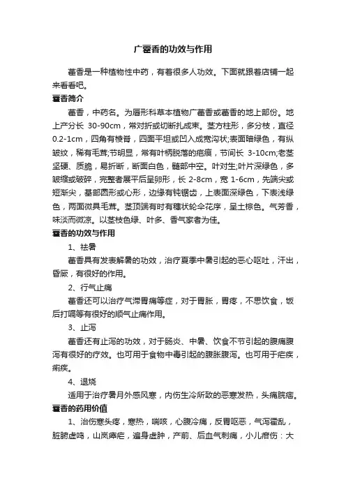 广藿香的功效与作用