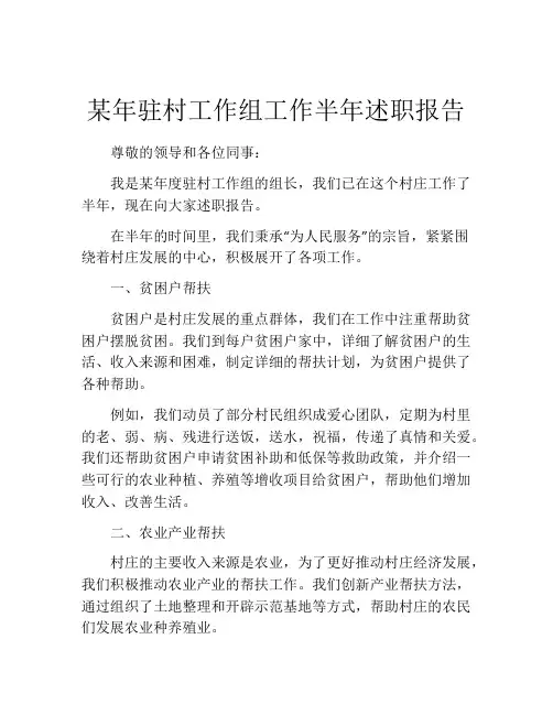 某年驻村工作组工作半年述职报告