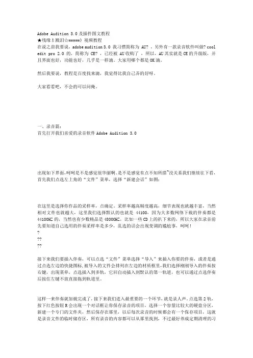 Adobe Audition 3.0及插件图文教程