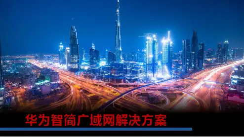 智简广域网解决方案介绍