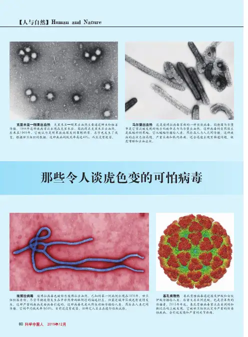 那些令人谈虎色变的可怕病毒