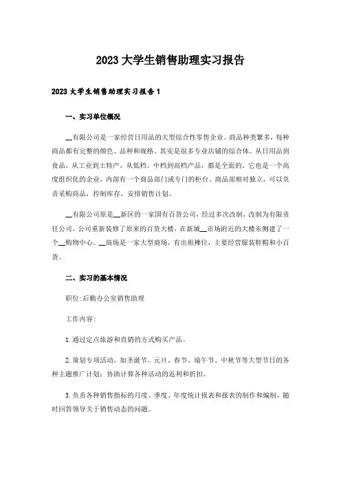 2023大学生销售助理实习报告_1