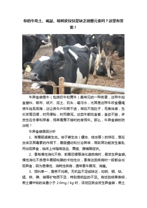 你的牛吃土、喝尿、啃树皮仅仅是缺乏微量元素吗？这里有答案！