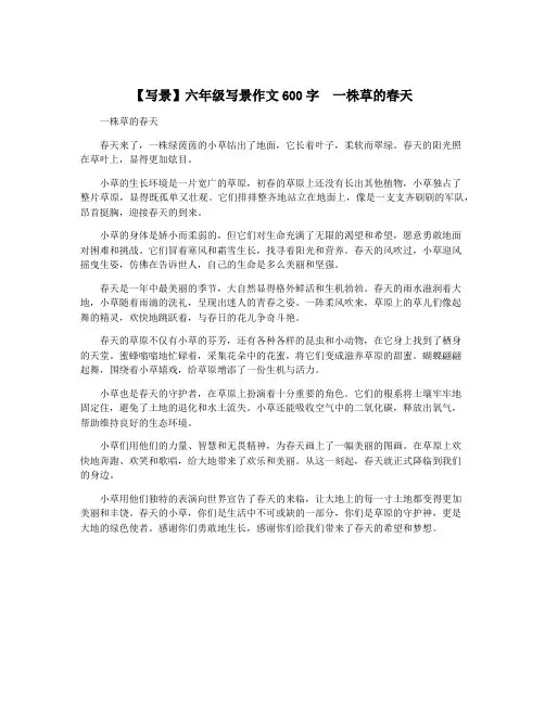 【写景】六年级写景作文600字  一株草的春天