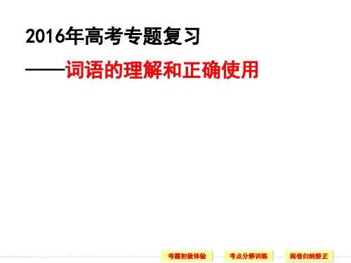 高考专项正确使用词语使用