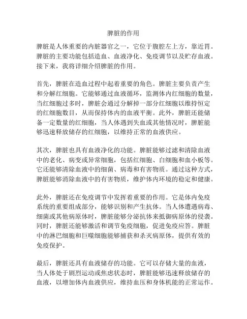 脾脏的作用