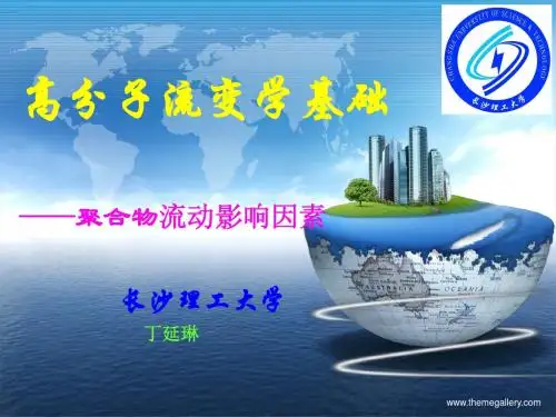 聚合物流动影响因素  丁延琳