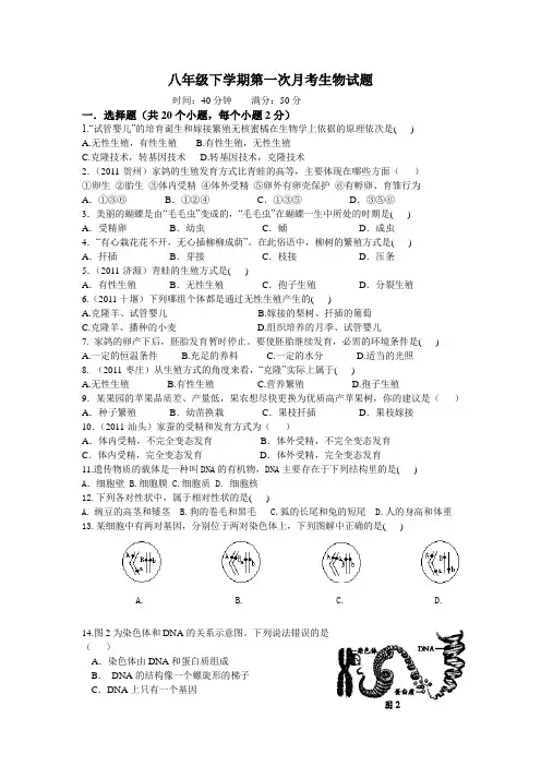 人教版八年级下学期第一次月考生物试题