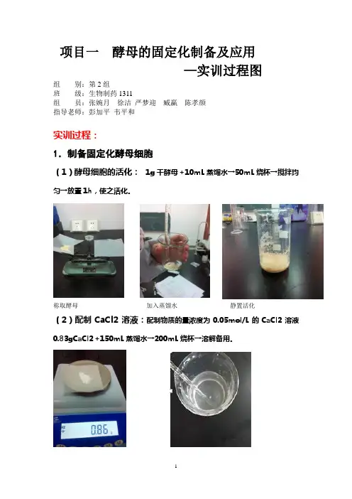 酵母细胞的固定化制备过程图