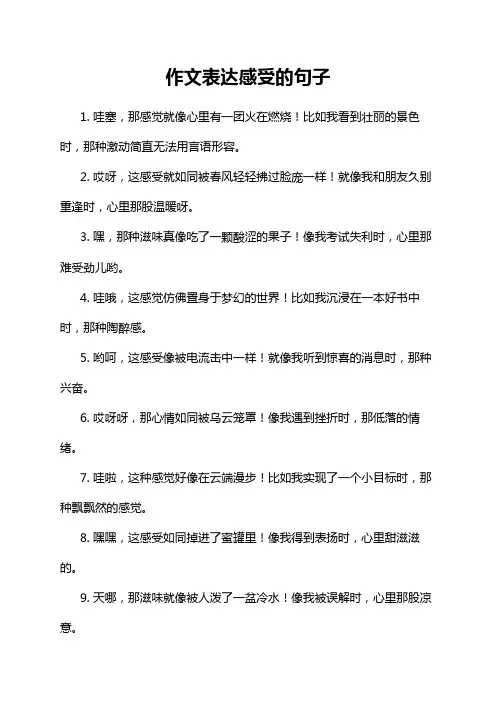 作文表达感受的句子