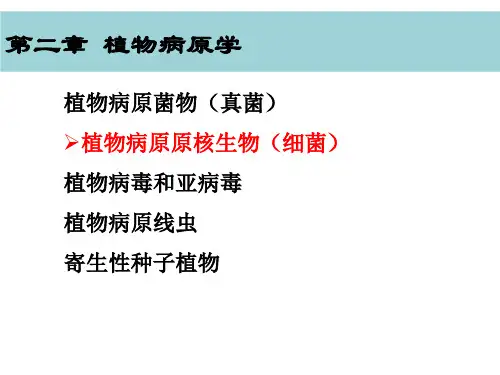 植物病理学-农学-第二章 植物病原学-细菌、病毒
