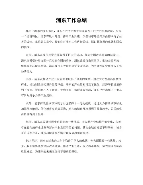 浦东工作总结