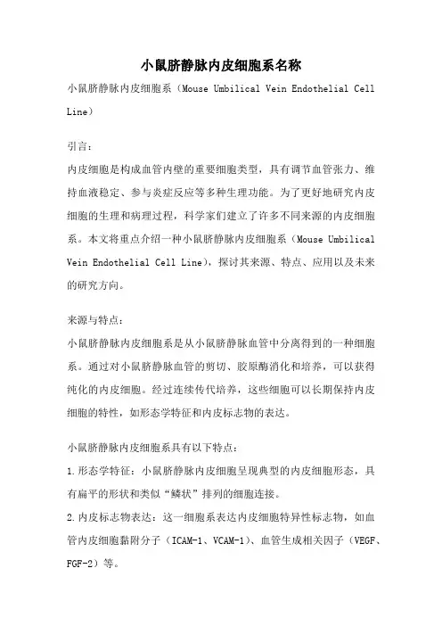 小鼠脐静脉内皮细胞系名称