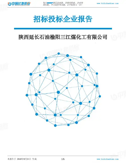 陕西延长石油榆阳三江煤化工有限公司_中标190924