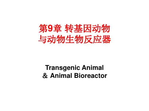 转基因动物与动物生物反应器