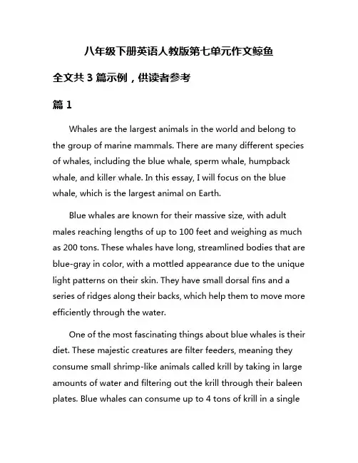 八年级下册英语人教版第七单元作文鲸鱼