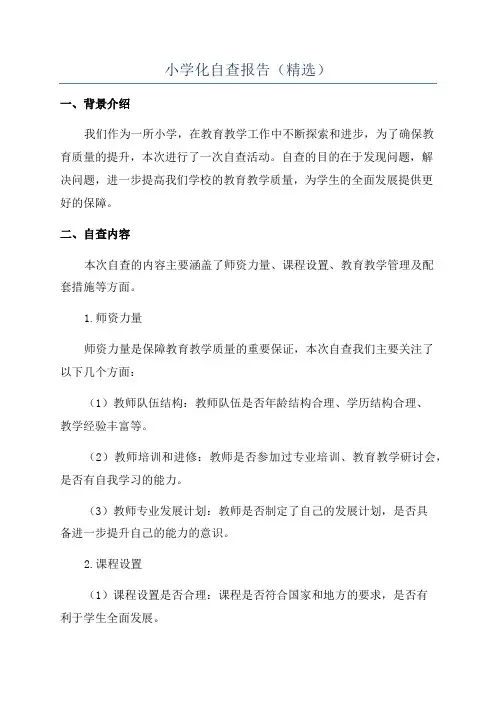 小学化自查报告(精选)