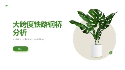 大跨度铁路钢桥分析