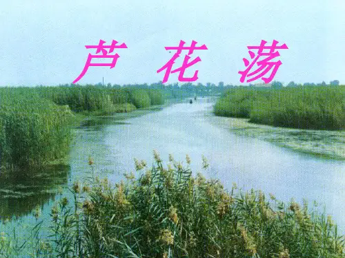 人教版八年级语文上册《芦花荡》课件(共30张PPT)