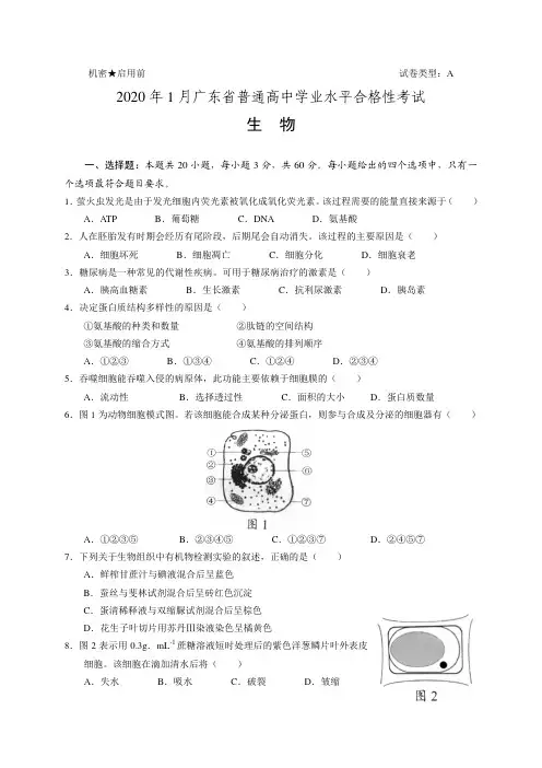2020年1月广东省普通高中学业水平合格性考试   生物(试卷和答案)