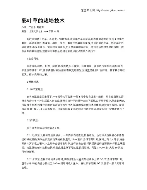 彩叶草的栽培技术