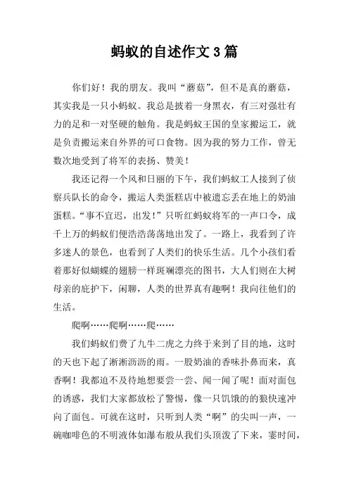 蚂蚁的自述作文3篇
