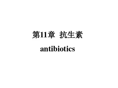 11章 抗生素   药物化学 ppt