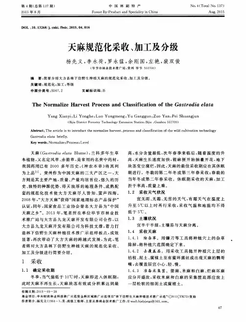 天麻规范化采收、加工及分级