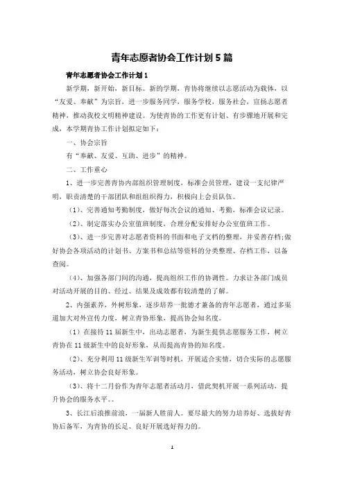 青年志愿者协会工作计划5篇