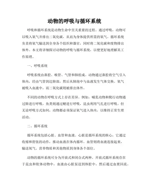 动物的呼吸与循环系统