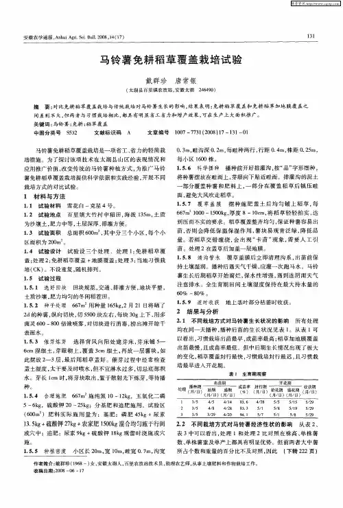马铃薯免耕稻草覆盖栽培试验