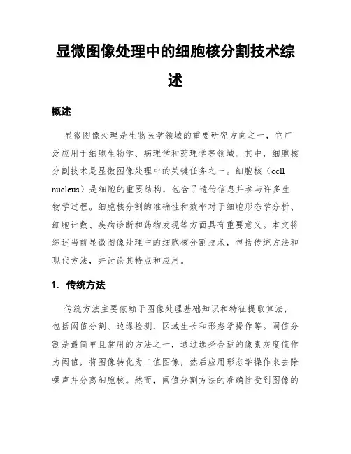 显微图像处理中的细胞核分割技术综述