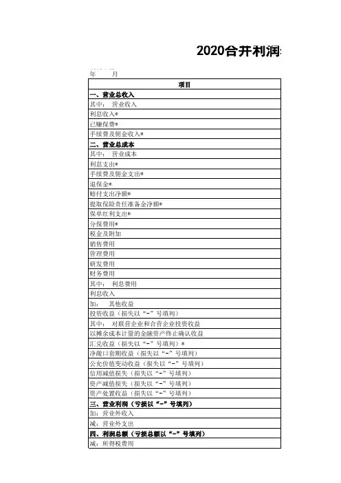 合并财务报表格式(2020版)