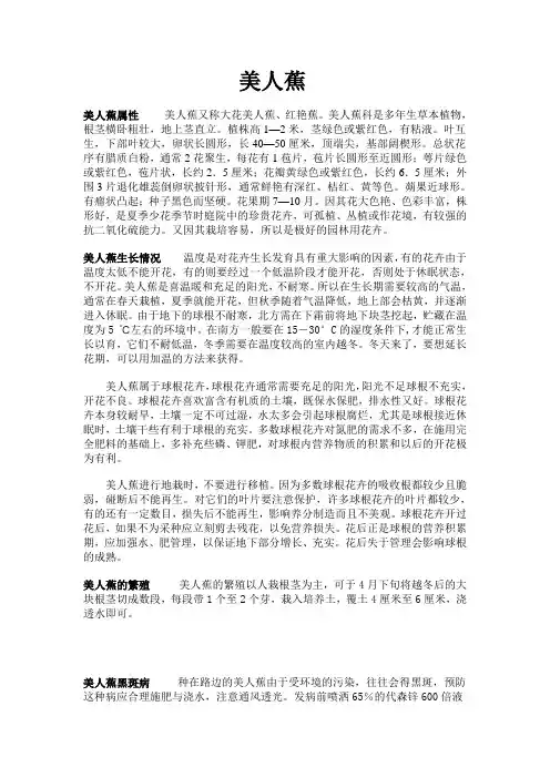 美人蕉