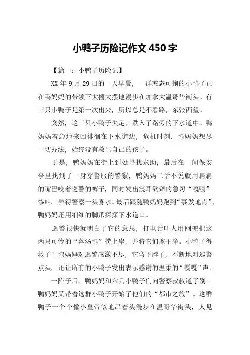 小鸭子历险记作文450字