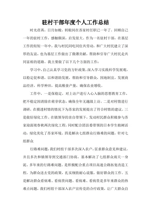 驻村干部年度个人工作总结