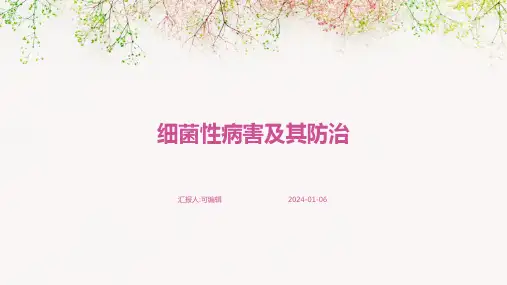 细菌性病害及其防治