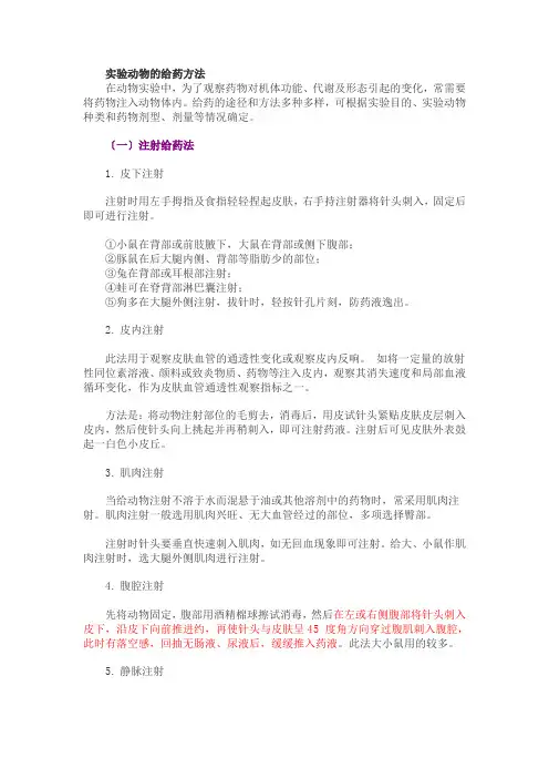 实验动物的给药方法e