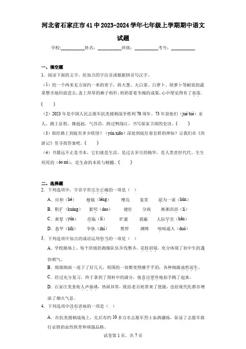 河北省石家庄市41中2023-2024学年七年级上学期期中语文试题