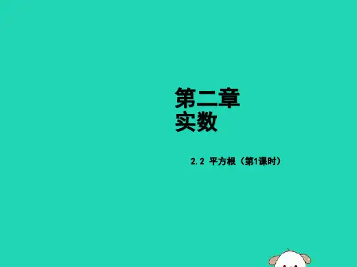 北师大版八年级数学上册《平方根》(第1课时)