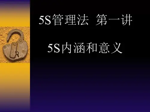 5S内涵和意义(PPT 28页)
