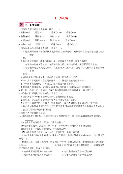 八年级语文上册2芦花荡练习2(新版)新人教版