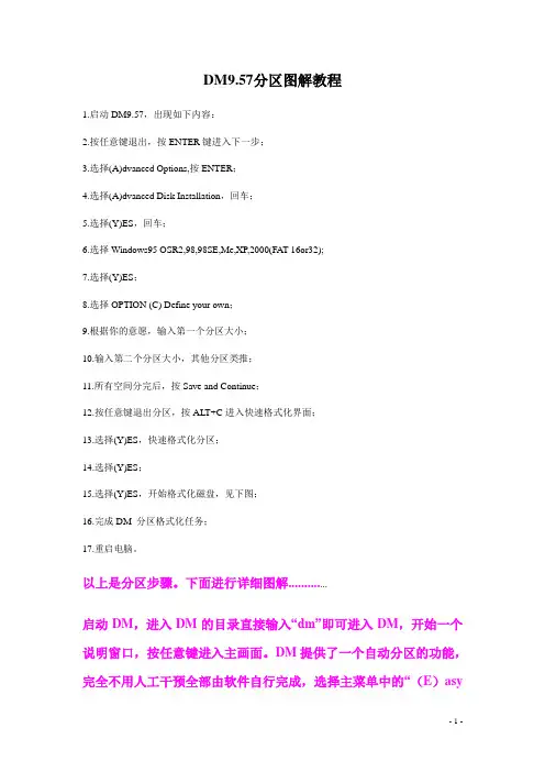 最新DM9.57分区图解教程