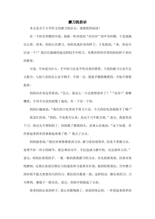 磨刀的启示_小学作文